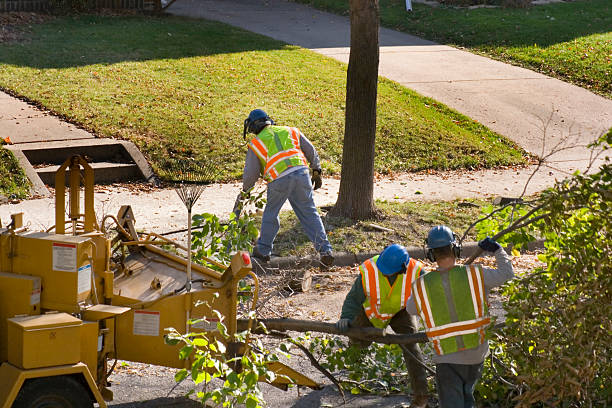 Best Lawn Watering Services  in Dowagiac, MI